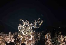 "Art in Motion" dissipe les ténèbres avec l'art