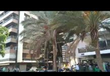 Retour précaire au calme après de graves incidents à Tayyouneh qui ont fait un mort et 6 blessés Retour précaire au calme après de graves incidents à Tayyouneh qui ont fait un mort et 6 blessés