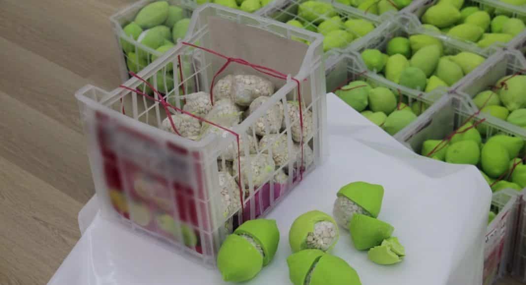 La police de Doubaï découvre des pilules de Captagon d'une valeur de 58 millions d'AED cachées dans une cargaison de citrons