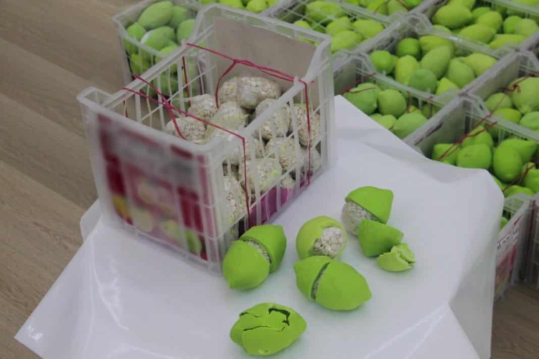 La police de Doubaï découvre des pilules de Captagon d'une valeur de 58 millions d'AED cachées dans une cargaison de citrons