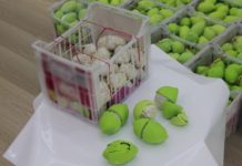 La police de Doubaï découvre des pilules de Captagon d’une valeur de 58 millions d’AED cachées dans une cargaison de citrons