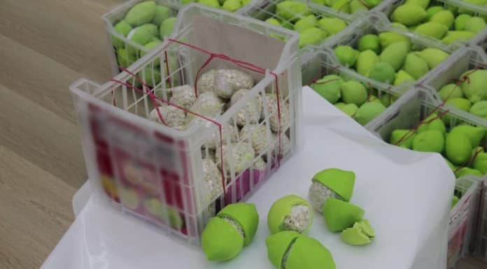 La police de Doubaï découvre des pilules de Captagon d'une valeur de 58 millions d'AED cachées dans une cargaison de citrons
