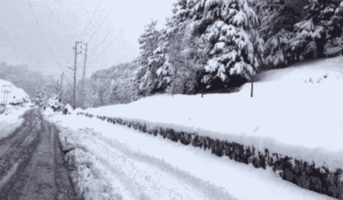 La route des cèdres bloquée par la neige
