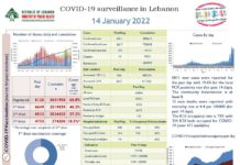 Covid: 6 811 cas et 15 décès au Liban