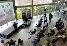 Les dispositifs de l’AUF Moyen-Orient au cœur d’une rencontre d’information