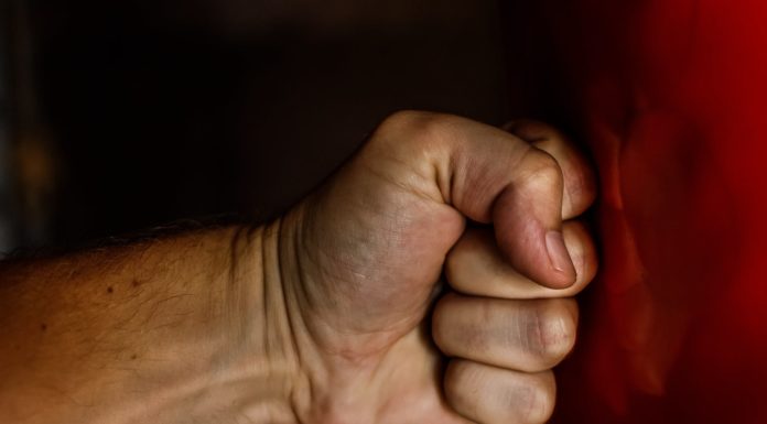 human fist