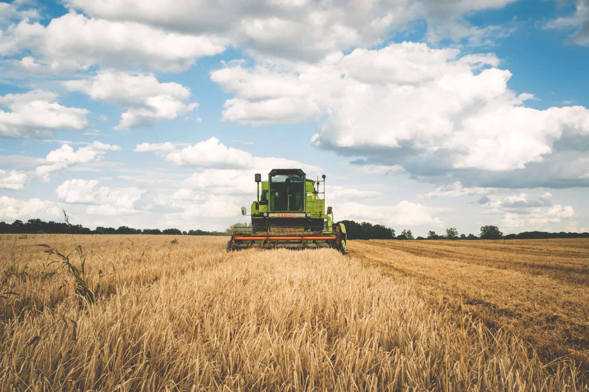 Le Liban demanderait une aide alimentaire aux Etats-Unis pour éviter des émeutes de la faim. green tractor