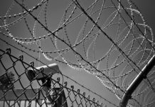 abstract barbed wire black white black and white