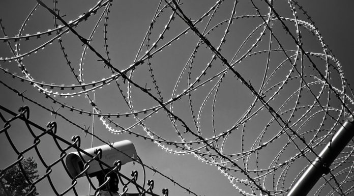 abstract barbed wire black white black and white