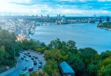 vehicles on road beside sea