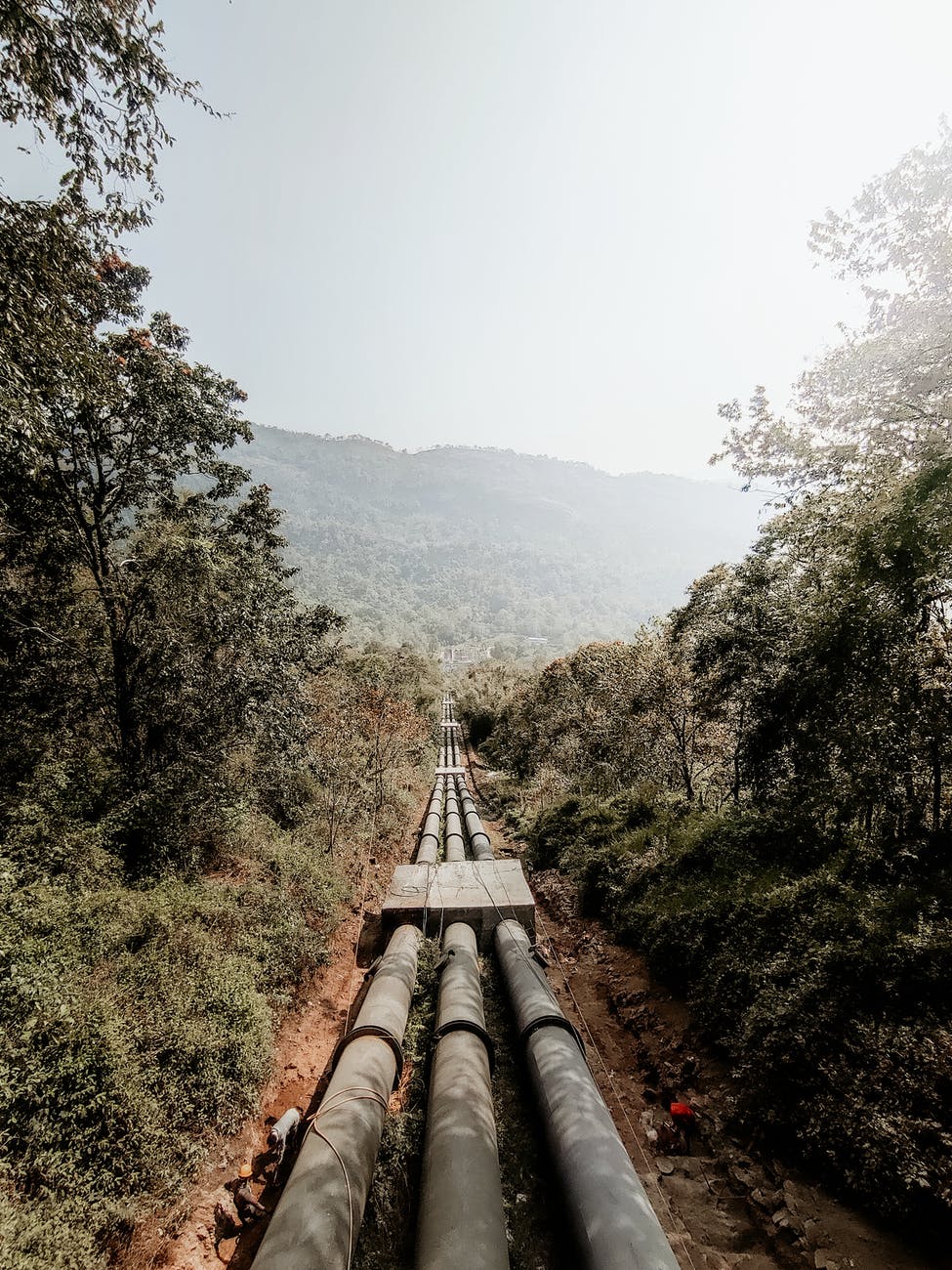 pipeline among trees in mountains