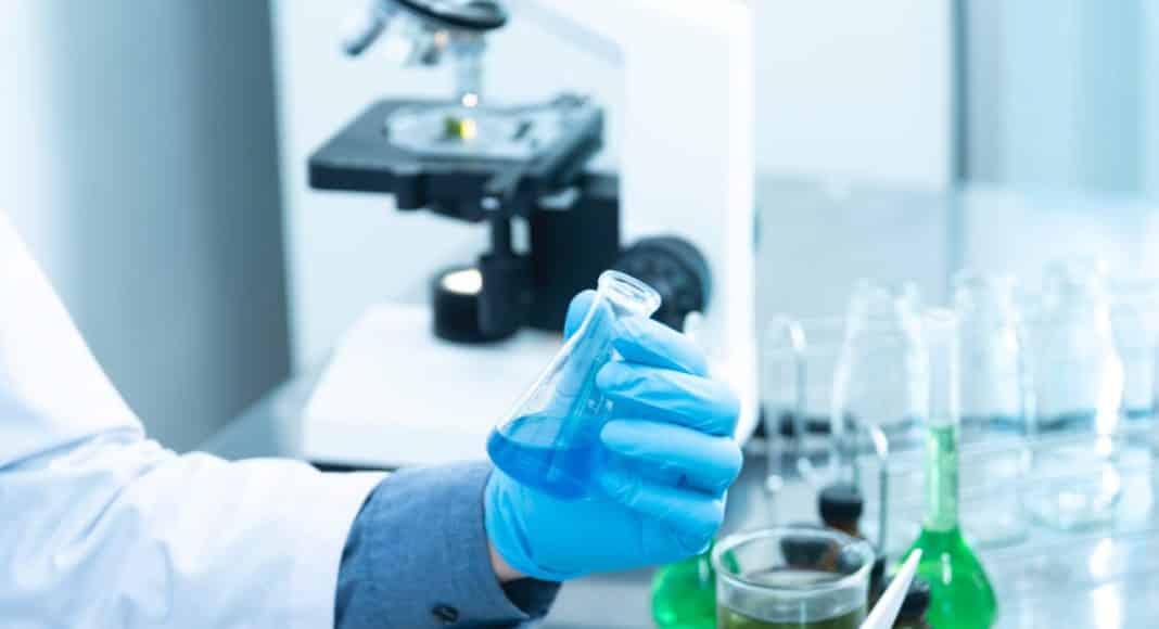 person holding laboratory flask