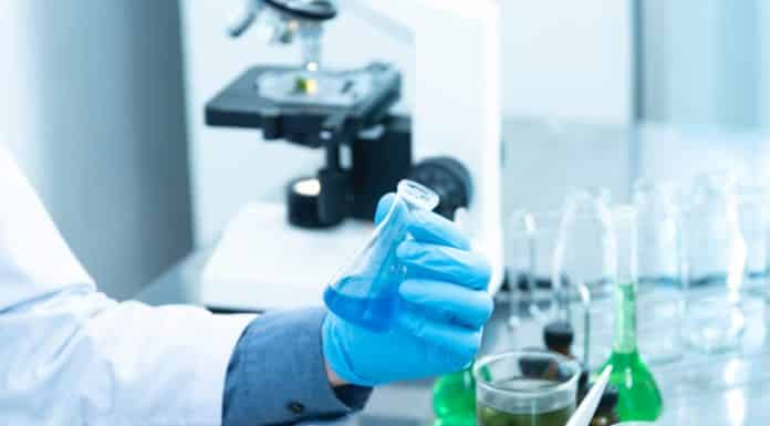 person holding laboratory flask