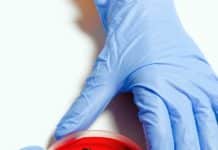 scientist holding petri dish