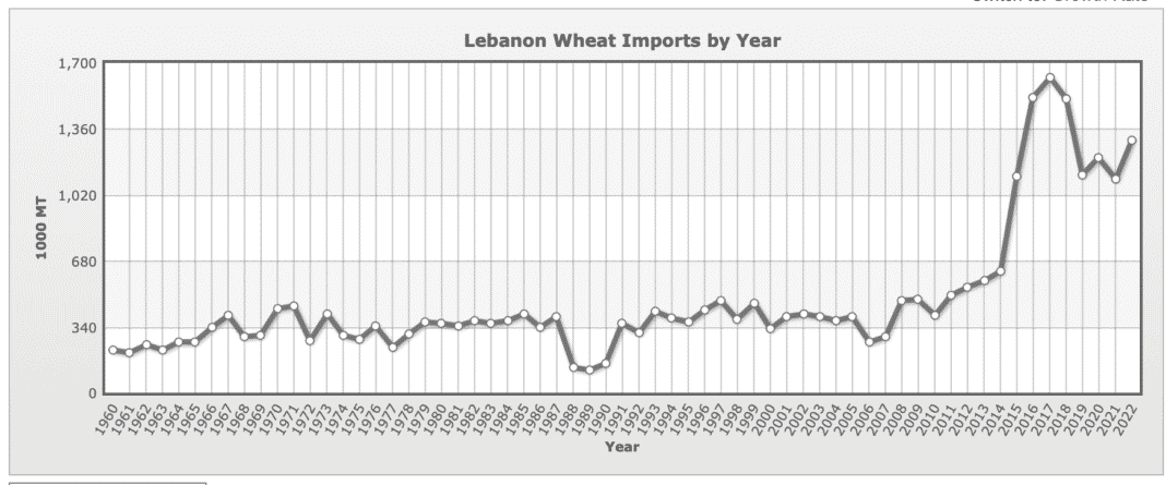 FactCheck: La pénurie de pain au Liban, en partie causée par les réfugiés syriens mais aussi par les difficultés financières de la Banque du Liban