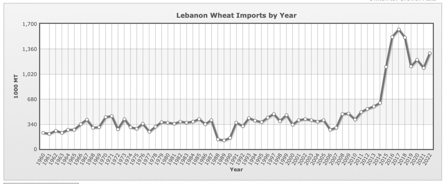 FactCheck: La pénurie de pain au Liban, en partie causée par les réfugiés syriens mais aussi par les difficultés financières de la Banque du Liban