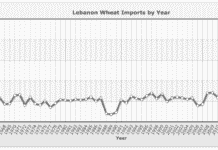 FactCheck: La pénurie de pain au Liban, en partie causée par les réfugiés syriens mais aussi par les difficultés financières de la Banque du Liban FactCheck: La pénurie de pain au Liban, en partie causée par les réfugiés syriens mais aussi par les difficultés financières de la Banque du Liban