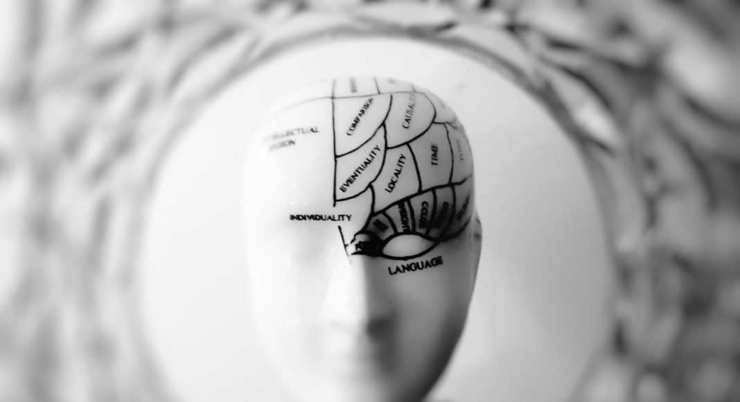 photo of head bust print artwork