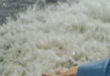 person s hand holding water