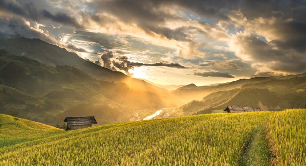 green field near houses