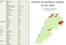 Liban: 18 nouveaux cas de choléra et aucun décès