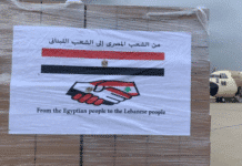 Liban/Choléra: donation de 17 tonnes de médicaments et d'équipements par l'Egypte