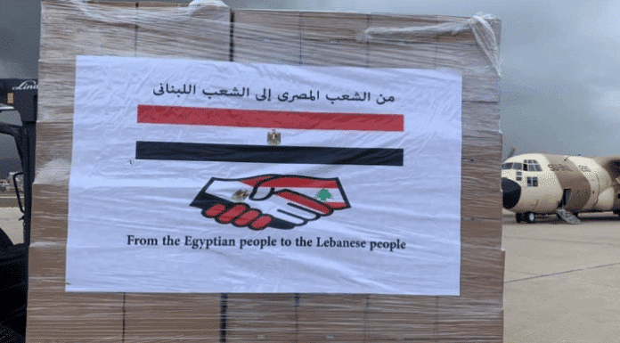 Liban/Choléra: donation de 17 tonnes de médicaments et d'équipements par l'Egypte