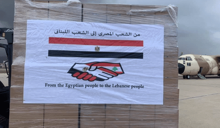 Liban/Choléra: donation de 17 tonnes de médicaments et d'équipements par l'Egypte