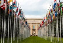 flag of different countries un members