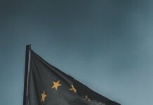 close up photography of european flag
