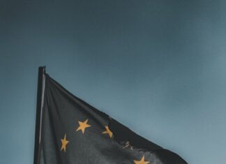 close up photography of european flag