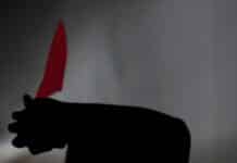 Plume de sang, le nouveau roman de Nada B. Raad Plume de sang, le nouveau roman de Nada B. Raad