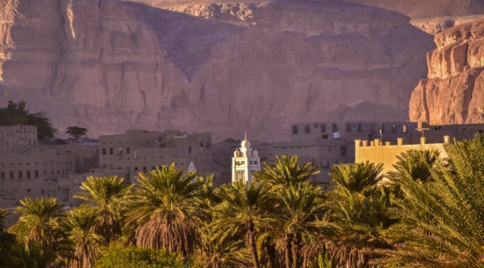 palm trees and buildings in yemen