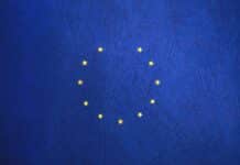 blue and yellow round star print textile