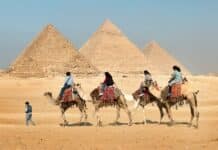 four people riding on camels across the pyramids