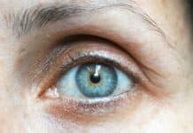 Regard fictif. left human eye