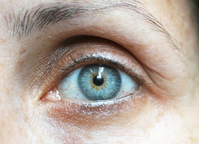 left human eye
