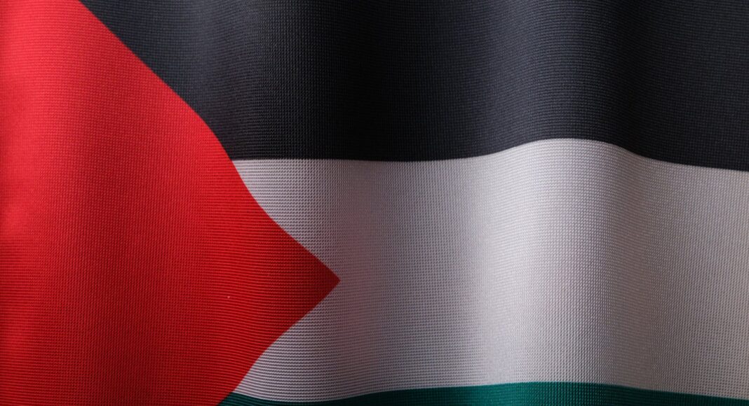flag of palestine