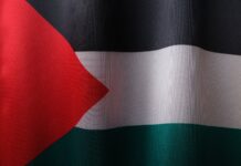flag of palestine