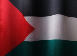 flag of palestine