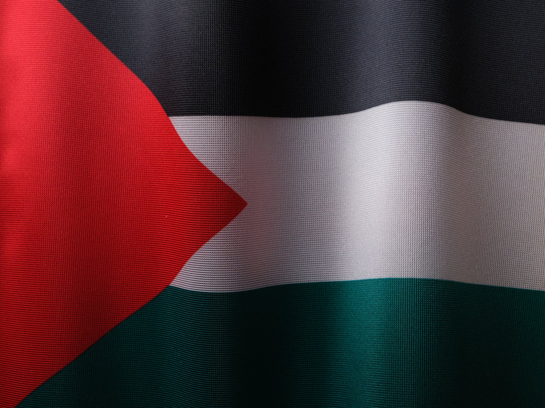 Oslo 30 ans après (2/4) flag of palestine