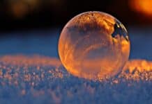 Israël-Palestine : L’Occident vit dans une bulle clear glass sphere
