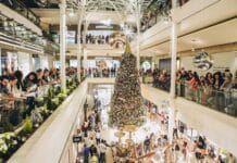 ABC illumine le sapin de Noël en musique !