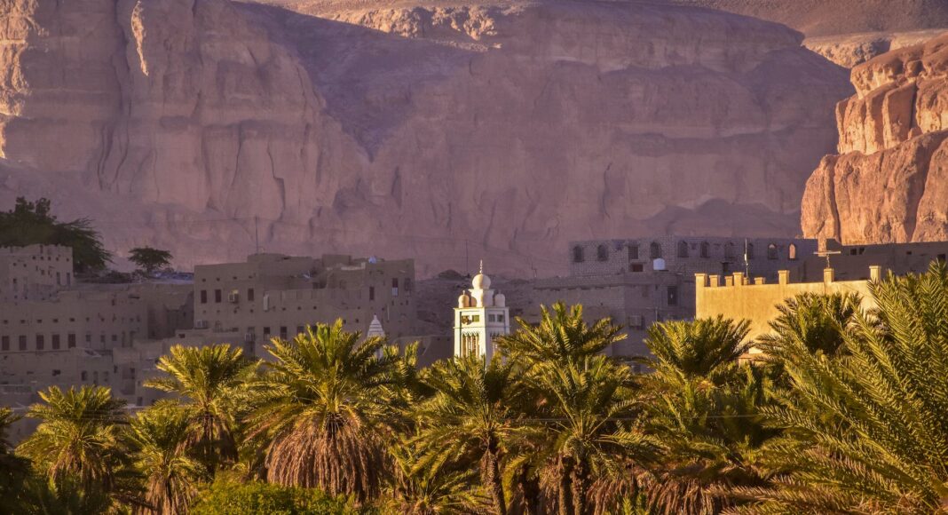 palm trees and buildings in yemen