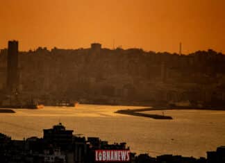 L’activité « container » du Port de Beyrouth en forte hausse Le port de Beyrouth, le 27 février 2024. Crédit Photo: Libnanews.com, tous droits réservés