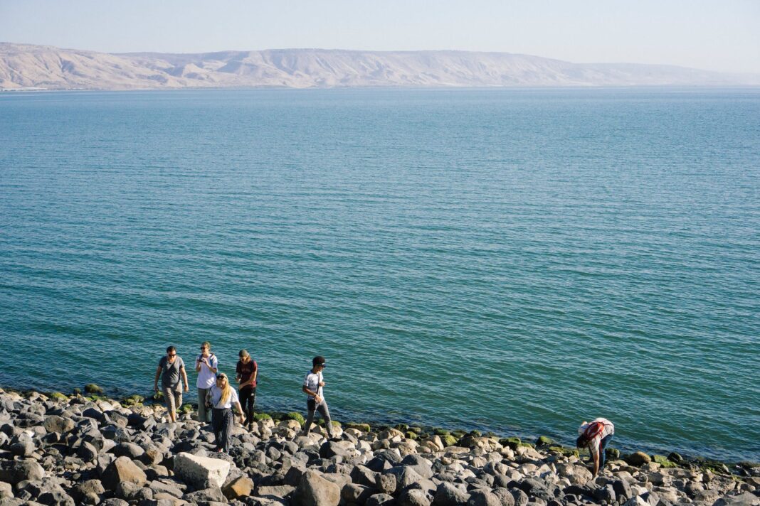 people walking on seashore