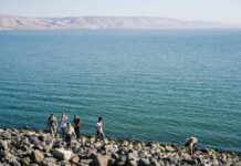 Israël paye un lourd tribu économique à la guerre people walking on seashore