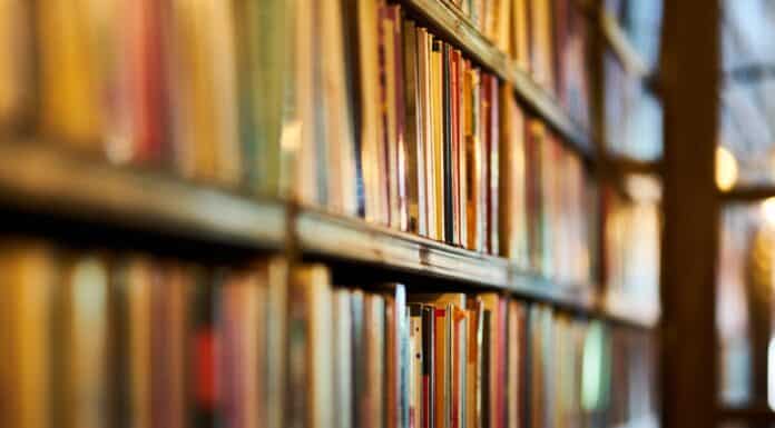 selective focus photography of brown wooden book shelf