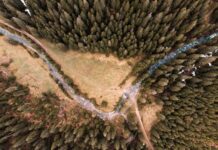 Deux décès suite à une attaque de drone israélien sur une voie du sud de Tyr