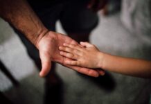 father and child s hands together